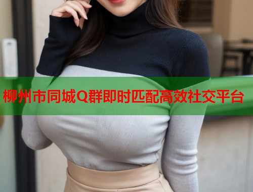 柳州市同城Q群即时匹配高效社交平台 第1张 柳州市同城Q群即时匹配高效社交平台 第1张