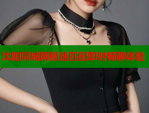 沈阳同城网极速匹配即时畅聊体验 第1张 沈阳同城网极速匹配即时畅聊体验 第1张